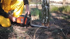 Best Lawn Pest Prevention  in Anderson, IN