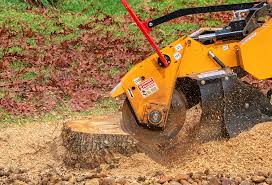 Best Emergency Tree Removal  in Anderson, IN