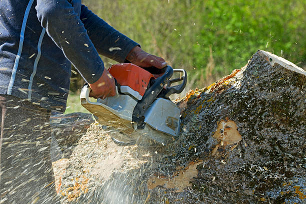 Mulching Services in Anderson, IN