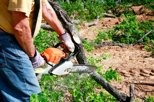 Best Lawn Watering Services  in Anderson, IN